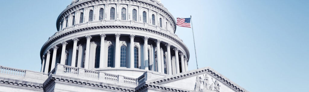 Banner-Government