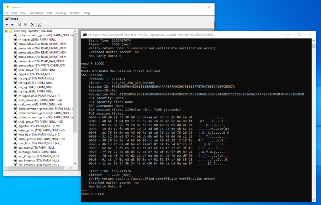 Captura de pantalla que muestra a Parasoft Insure++ detectando el desbordamiento de escritura en la memoria y mostrándolo en la GUI.
