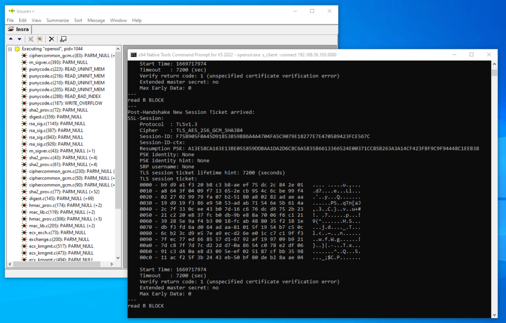 Screenshot showing Parasoft Insure++ detecting the memory write overflow and displaying it in the GUI.