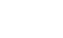 Logo Smith's Medical