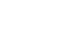 Logo VZVZ en blanc
